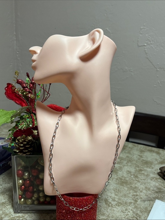 Jewelry - Stainless Steel Paperclip Chain Necklace 🆕